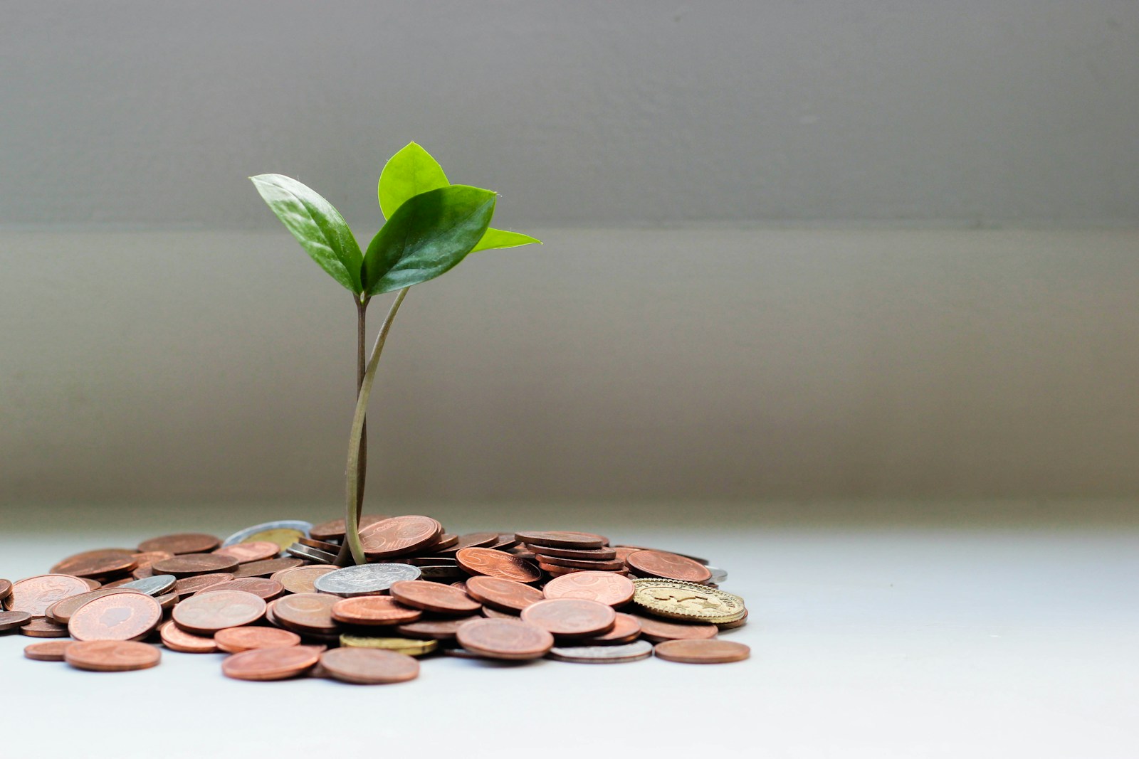 Estate Planning Nairobi